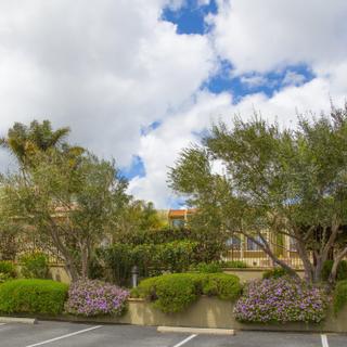 Best Western Plus Royal Oak Hotel | San Luis Obispo, California | Hotel grounds 