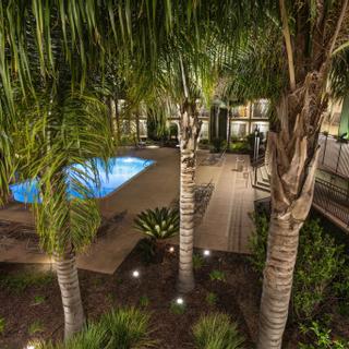 Best Western Plus Royal Oak Hotel | San Luis Obispo, California | View of pool through palm trees at night