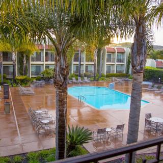 Best Western Plus Royal Oak Hotel | San Luis Obispo, California | Pool area and palm trees on a rainy day