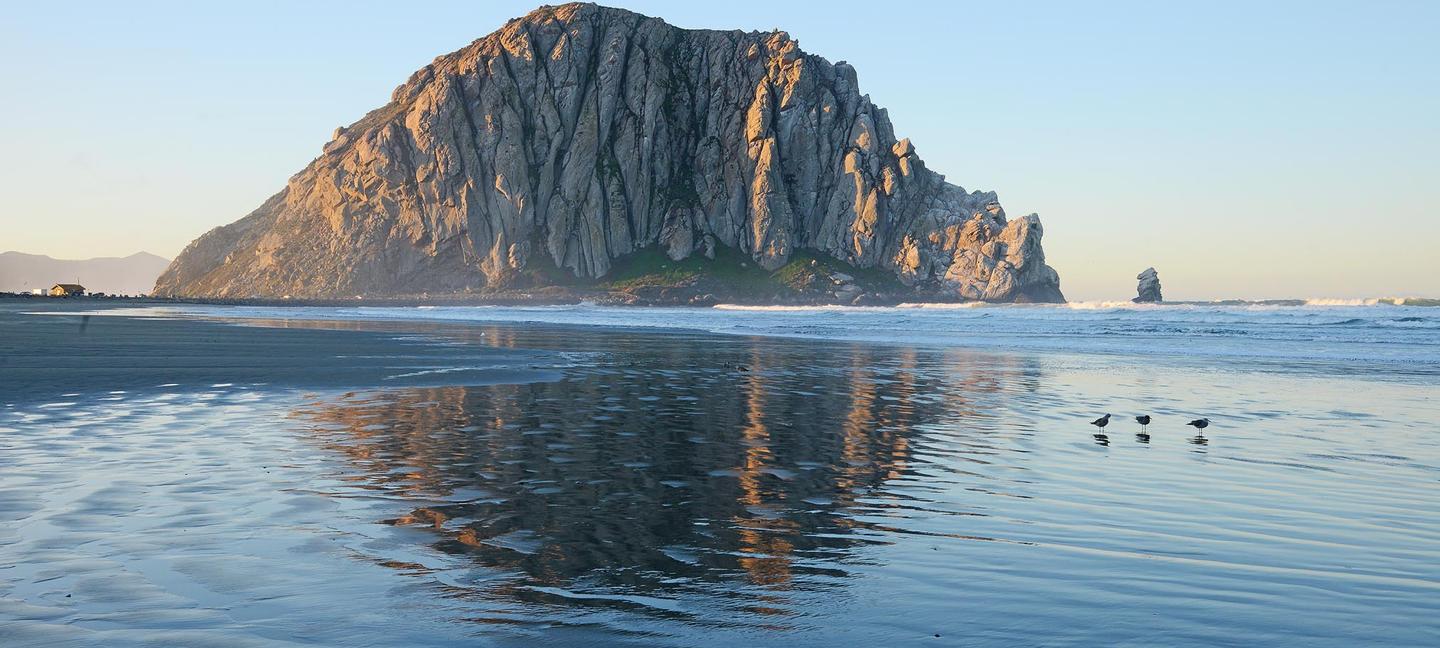 Royal Oak Hotel Best Western Plus | San Luis Obispo, California | 1